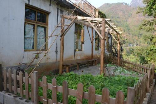 场圃是什么意思啊