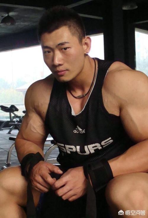 陈康是鹿晨辉的徒弟吗