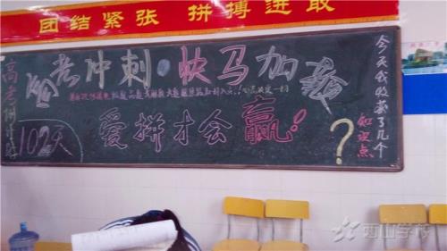 爱拼才会赢高河生结局