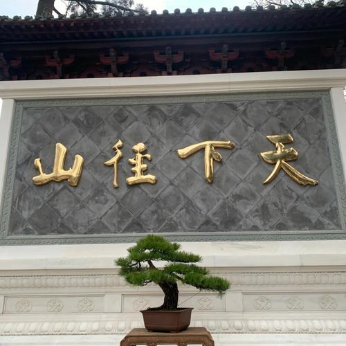 新年登高诗句