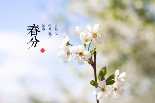 赶春分是什么意思