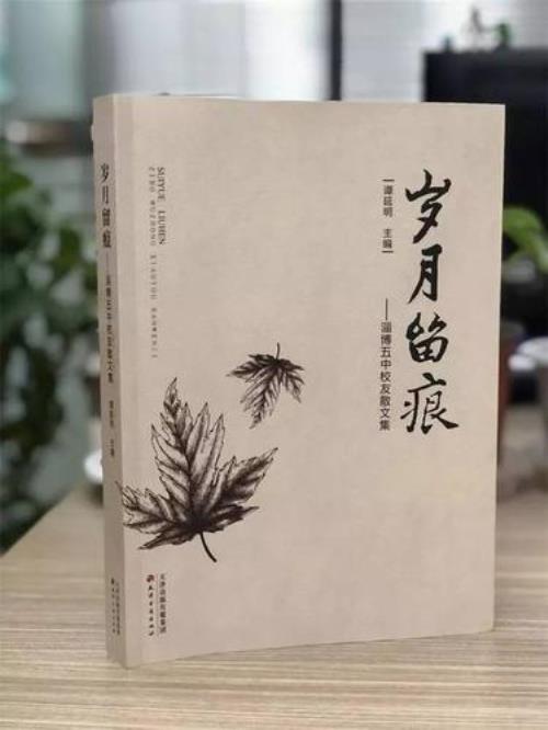 岁月能抹去青春的句子