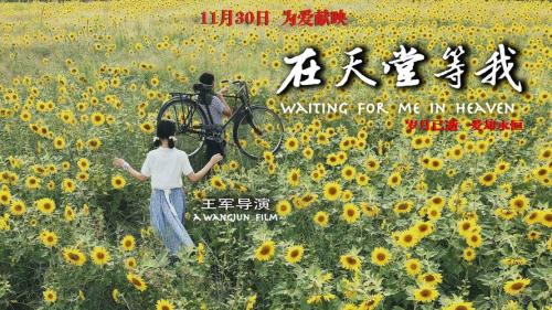我的天堂什么意思