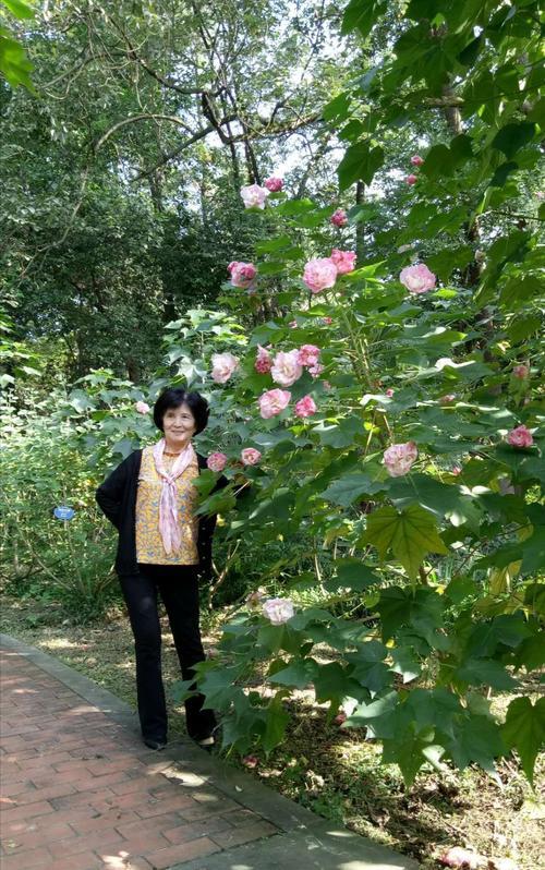 再见芙蓉结局