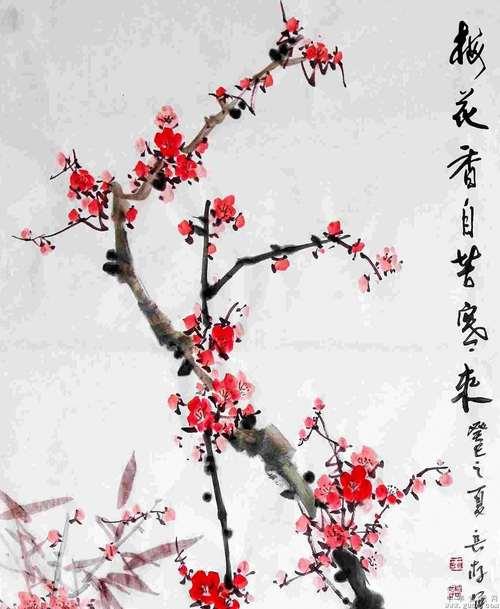 梅花香自寒苦来什么意思
