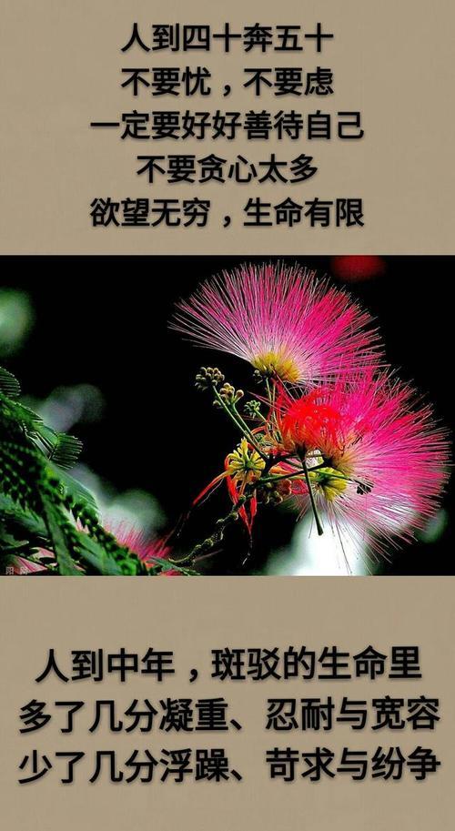 人生奔七十的感言