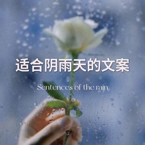 每个人都有秘密文案