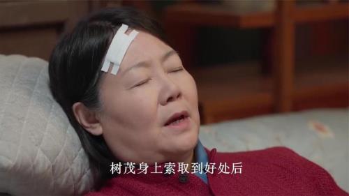 情满九道弯杨母结局