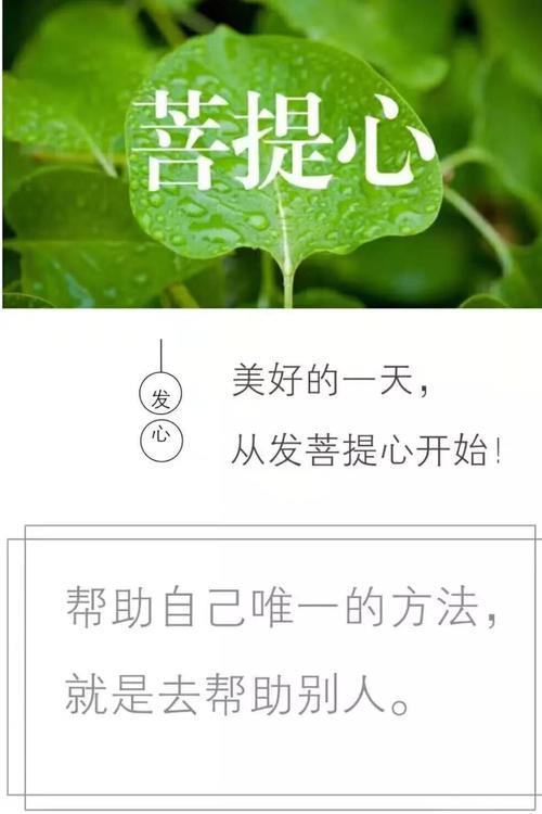 生者自奋然什么意思