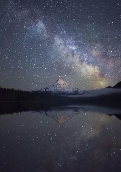 误我爱星辰什么意思