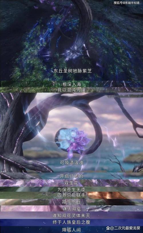 哪里可以看星落凝成糖