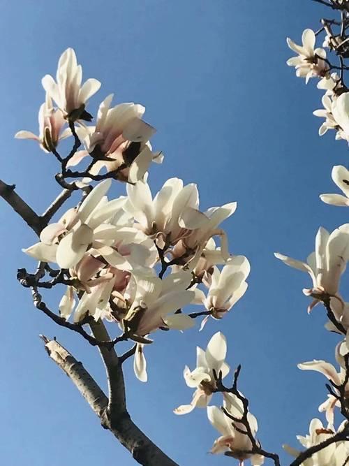 时光染香的意思