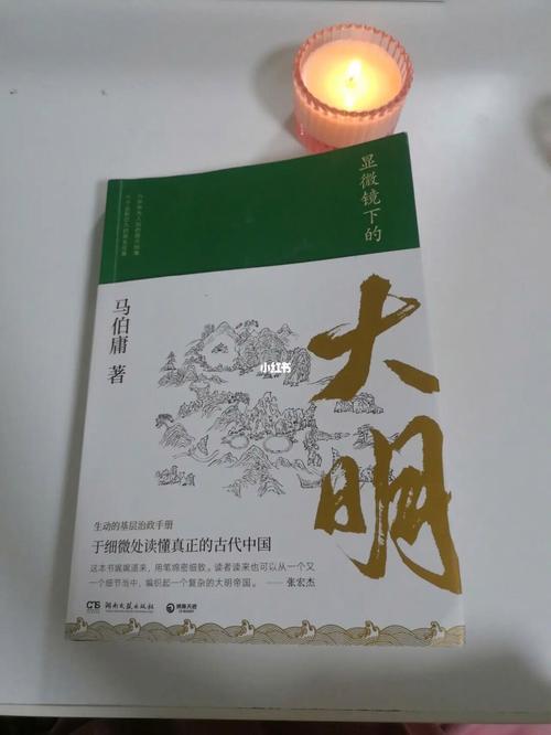 显微镜下的大明一共多少个案子